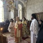 deltio typou 24.102 15