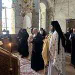 deltio typou 24.102 17