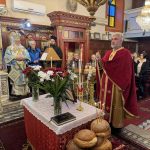 deltio typou 21112024 (3)