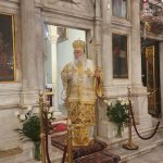 deltio typou 08.12 06