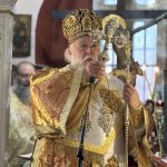 deltio typou 15.12 03