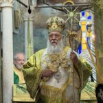 i litaneia tis kyriakis ton vaion stin kerkyra (10)