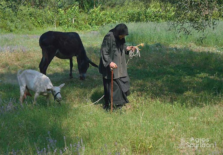 iera moni yperagias theotokou kyras ton aggelon imcorfu (3)