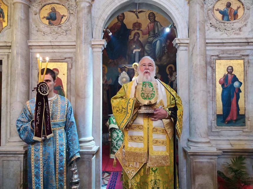 Κερκύρας Νεκτάριος, πλήττεται η εικόνα της Ελληνικής Ορθόδοξης Οικογένειας (8)