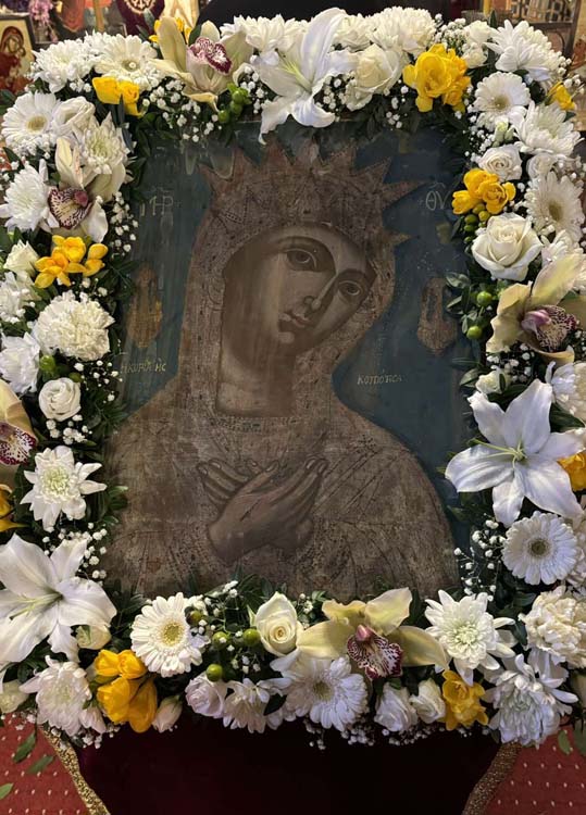 imcorfu 22032024 (6)