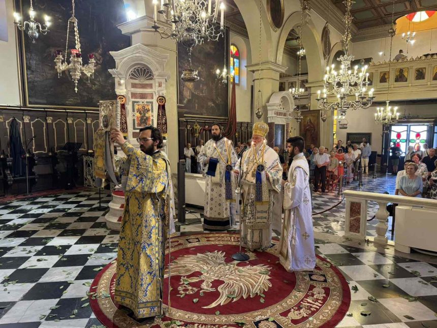 deltio typou 16082024 (5)