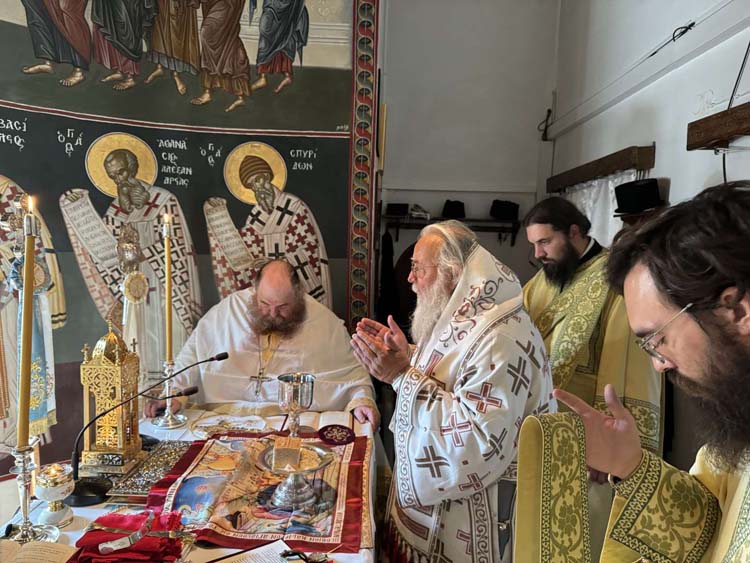 deltio typoy metamorfoseos 6082024 (10)