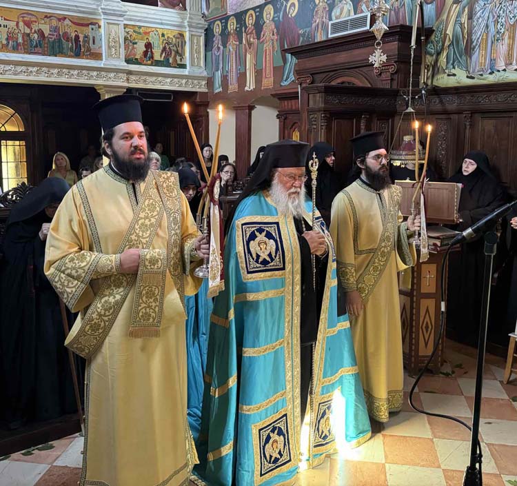 deltio typoy metamorfoseos 6082024 (16)