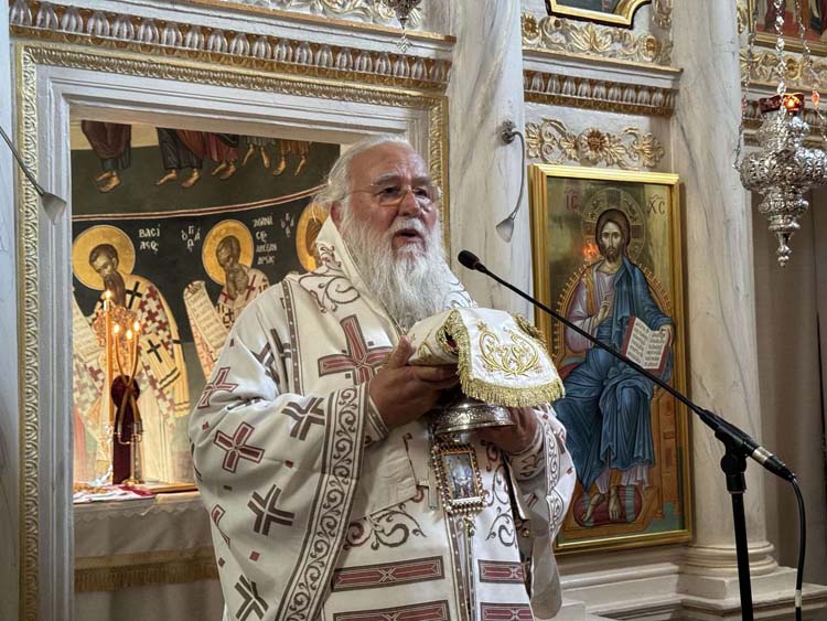 deltio typoy metamorfoseos 6082024 (5)