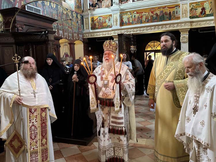 deltio typoy metamorfoseos 6082024 (7)