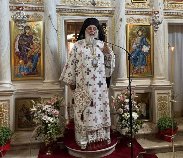 deltio typoy metamorfoseos 6082024 (8)