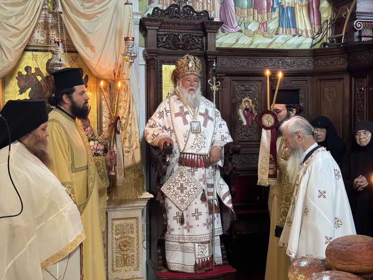 deltio typoy metamorfoseos 6082024 (9)