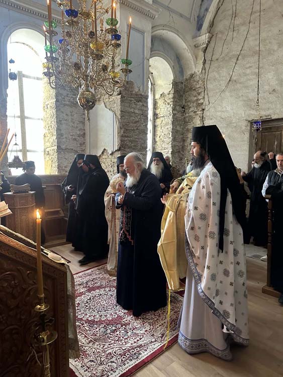 deltio typou 24.102 17