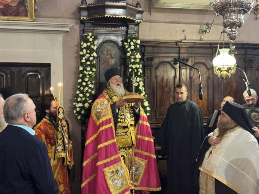 11122024 deltio typou (3)