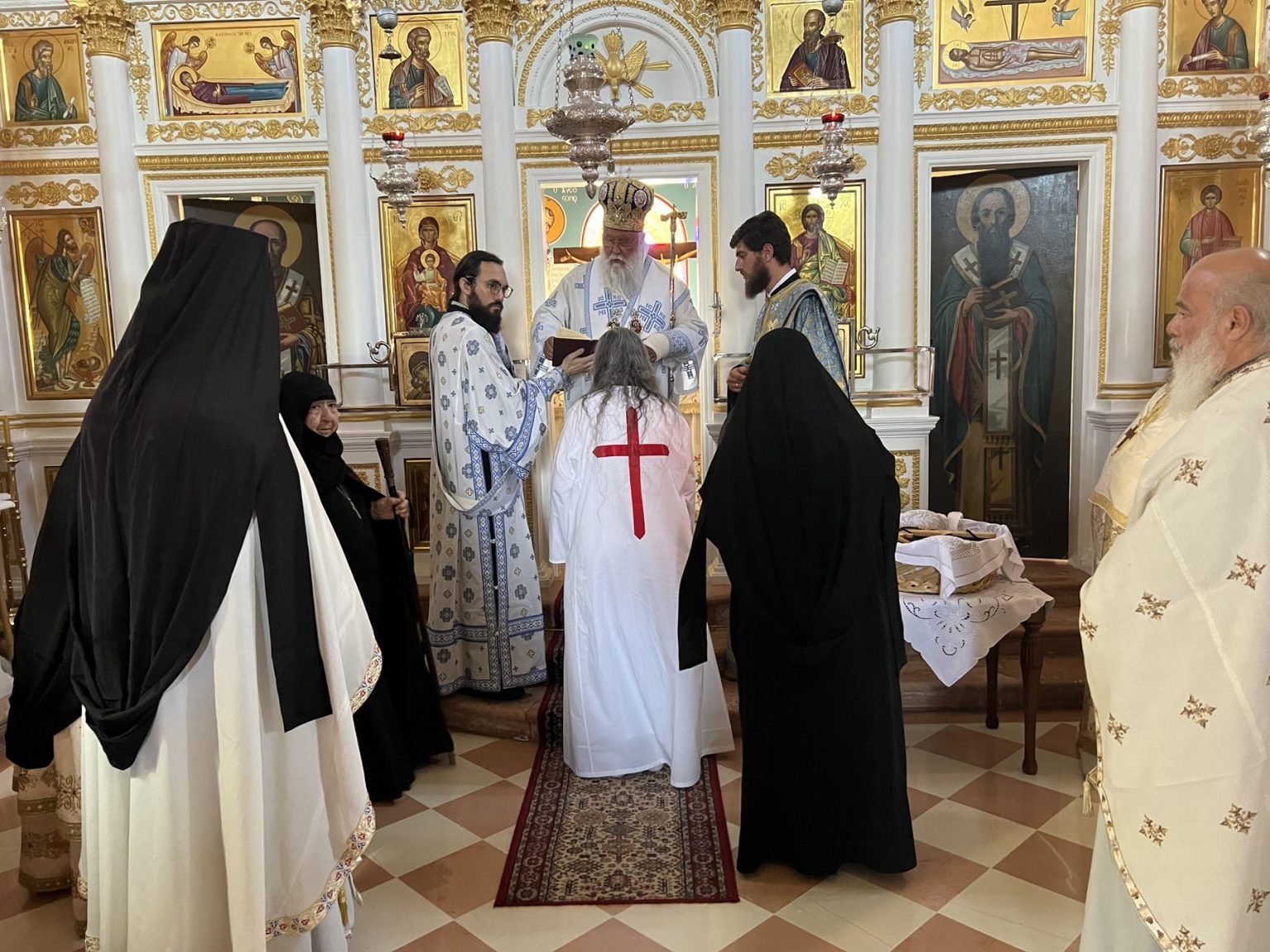 monachiki koura stin kerkyra (1)