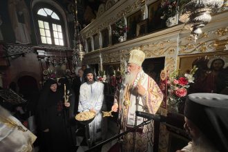 koura monachis stin kerkyra (14)